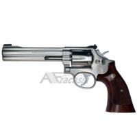 Smith & Wesson 617 € 700